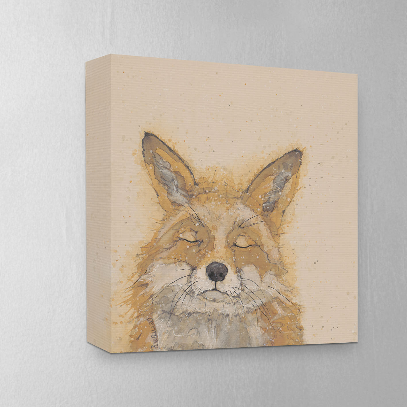 Bev Davies (Zen Fox) Canvas Print