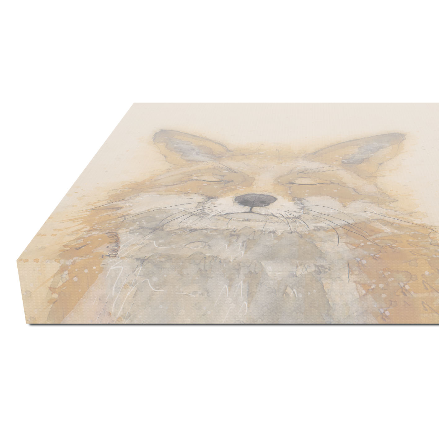 Bev Davies (Zen Fox) Canvas Print
